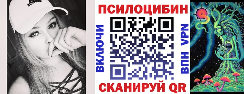 купить  цена  Новошахтинск  Галлюциногенные грибы Psilocybe 